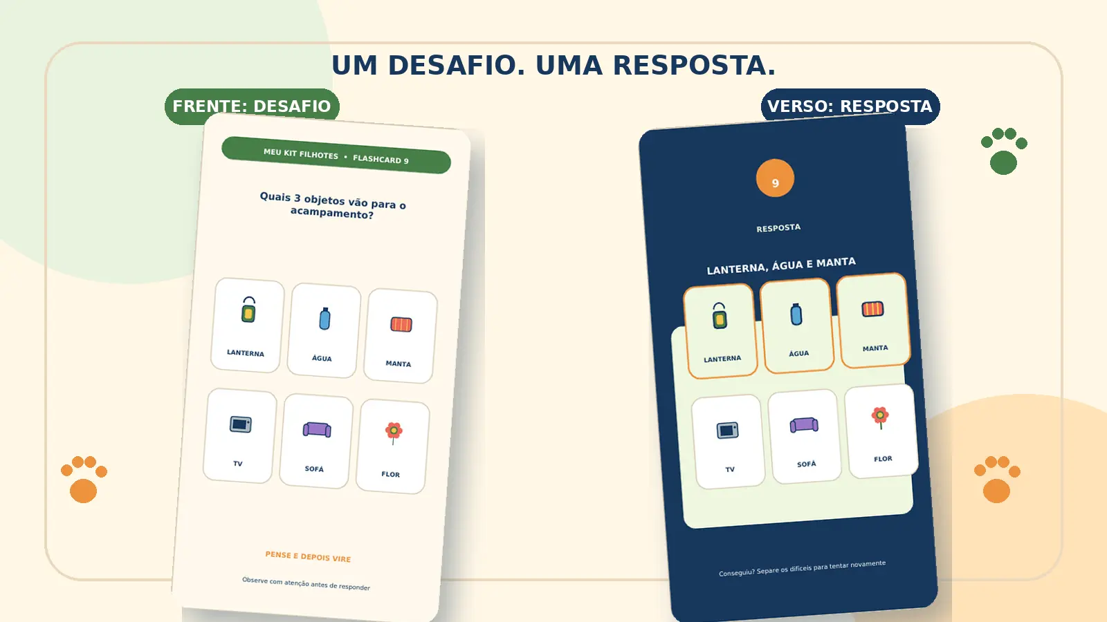 Exemplo dos cartões ilustrados